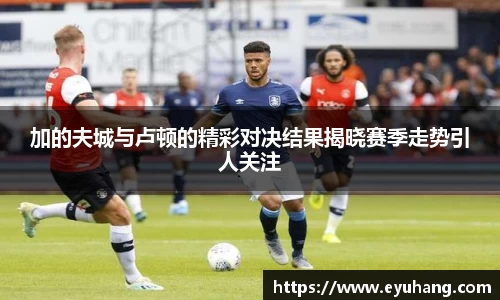 加的夫城与卢顿的精彩对决结果揭晓赛季走势引人关注